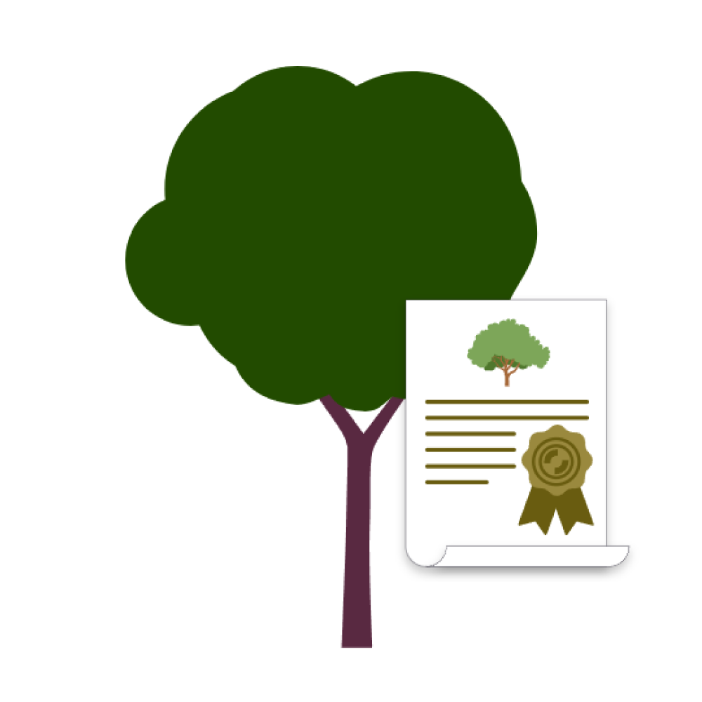 GROW MY TREE - One Tree Planted